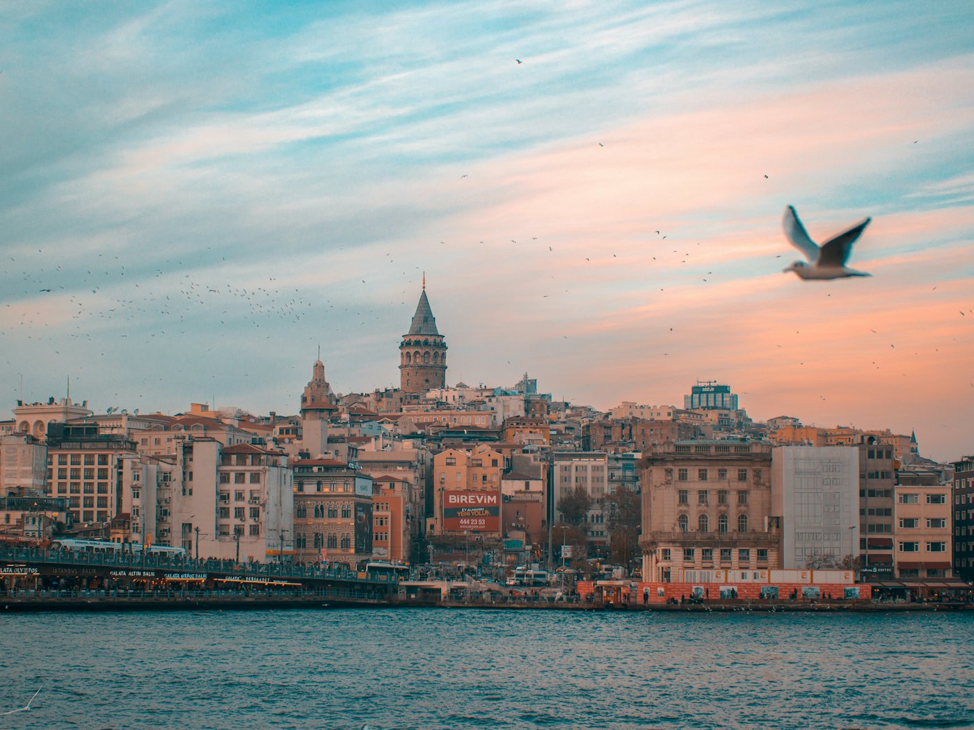 Galata Tower and the Karaköy waterfront at sunset, with a seagull over the Golden Horn